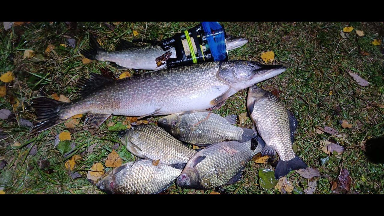 Осенняя охота,трофей добыт смотреть онлайн