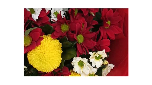 Яркий букет хризантем смотреть онлайн