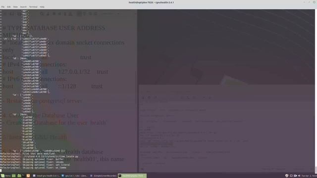 instruction how to install GNU health 3.4.1 server and client on linux mint 19 and ubuntu 18.04 pc смотреть онлайн