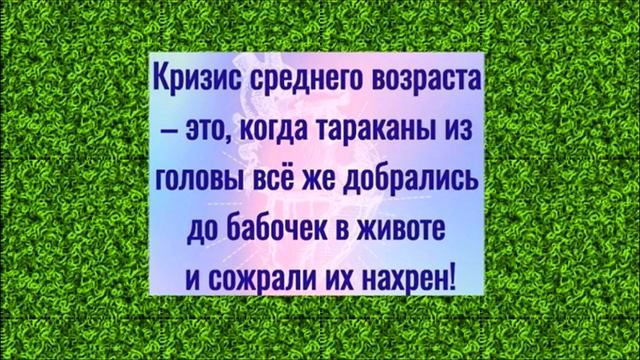 Как Развивается Твой РОМАН с Мариной? Смешной анекдот дня. смотреть онлайн