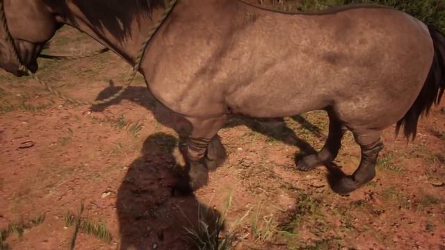 Red Dead Redemption 2 My Top 5 Favorite Horses! AMAZING HORSES!! смотреть онлайн