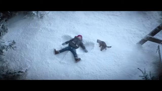 Whiskas Сказка со счастливым котом смотреть онлайн