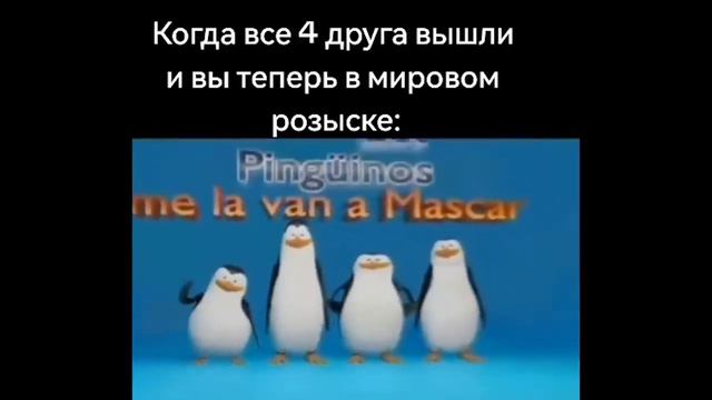 Откуда мем про пингвинов? смотреть онлайн