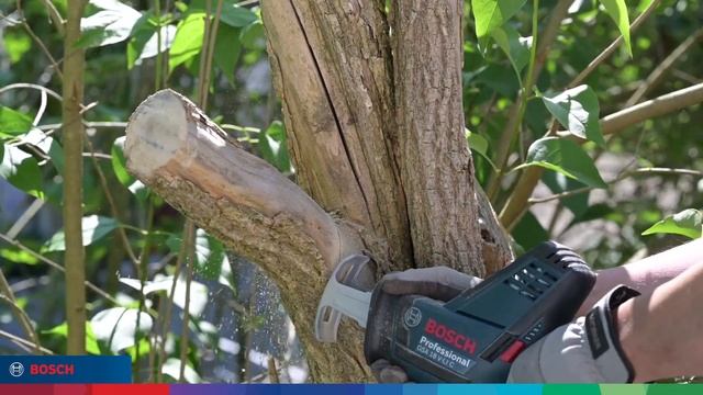 【博世專業配件】軍刀鋸片 S1531L 木材卓越款