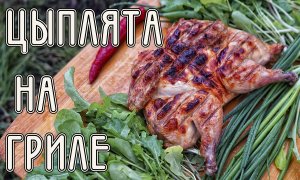 Рецепт вкусной курочки на мангале.
