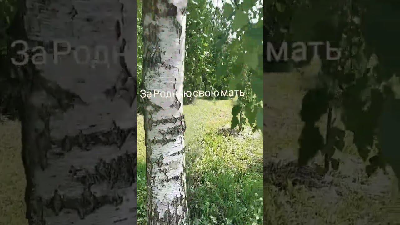 За Россию! #деньроссии #love #music #svet #shorts #sorts #СветланаКлимоваБабичева #авторпесен смотреть онлайн