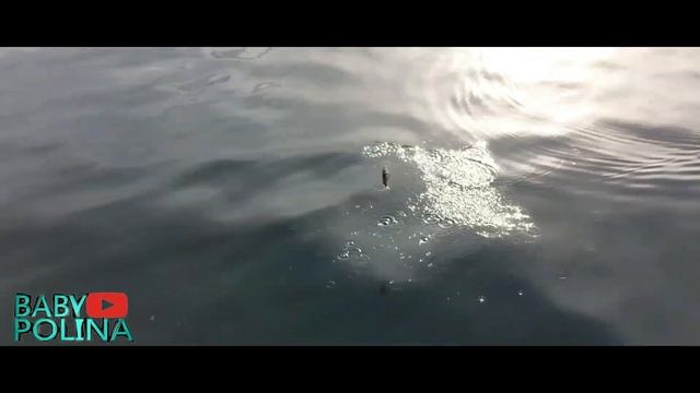 Ловля От Берега