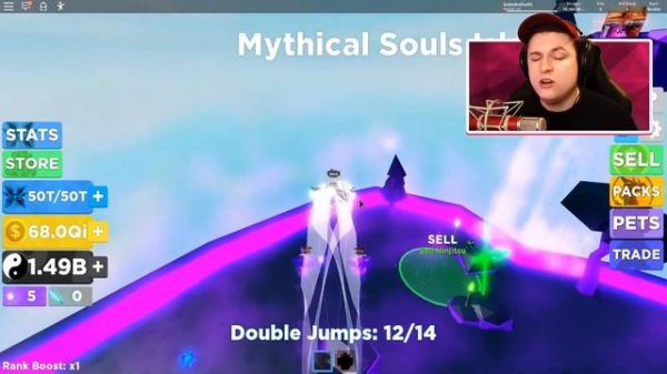 ALL 17 SECRET LEGEND *CRYSTAL* PET CODES IN NINJA LEGENDS!? Roblox