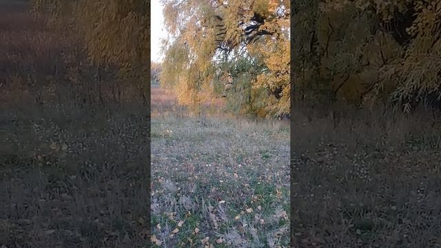 Осень - не повод грустить! смотреть онлайн