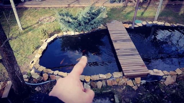 ЗИМОВКА КАРП КОИ🔥15 ФЕВРАЛЯ❄️ ТЁПЛАЯ ПОГОДА смотреть онлайн
