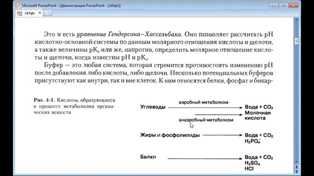 Вебинар ШКОЛЫ ДЫХАНИЯ. Вопросы смотреть онлайн