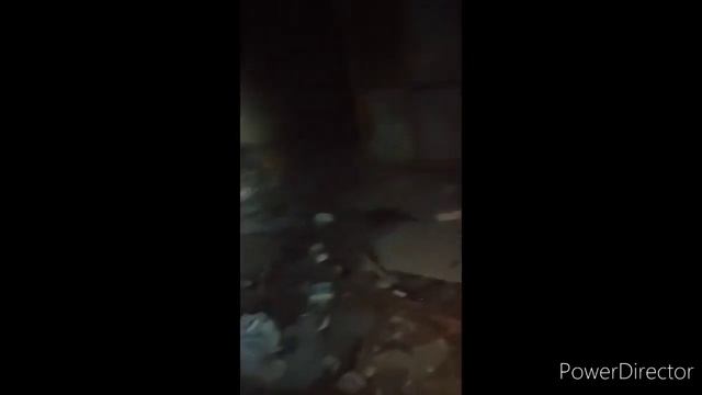 Увидели призрака в заброшке смотреть онлайн