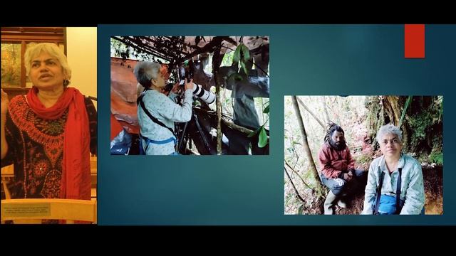 Meena Haribal: Following Alfred Russel Wallace to Indonesia in search of Birds of Paradise смотреть онлайн