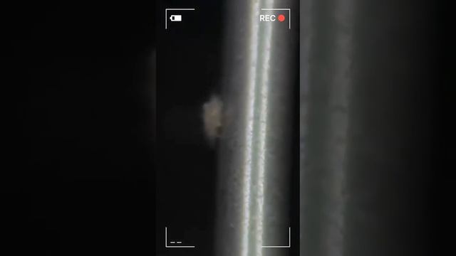 Корейский блогер показал что живет в обычном сотовом телефоне. смотреть онлайн