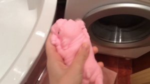 Купание сквиши собачки!