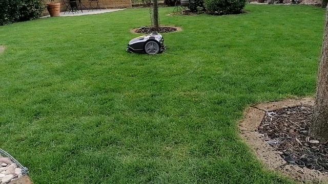 STIGA M robot смотреть онлайн
