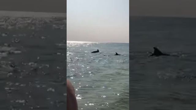 Magadan # from Magadan # от Надюши из магадана# ловля рыбы красной в полете# шок и стихия в воде# смотреть онлайн