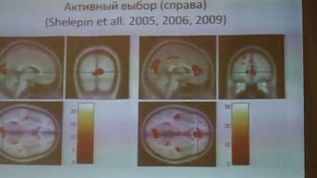 Шелепин Нейроиконика смотреть онлайн