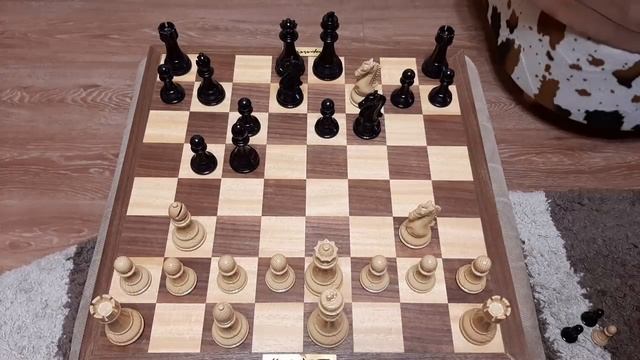 Шахматы. Шокируем соперника хитрым конем. Крутая ловушка. Обучение шахматам. смотреть онлайн