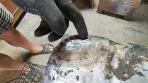 Как мы пытались устранить течь на топливном баке:)) Газ 3309