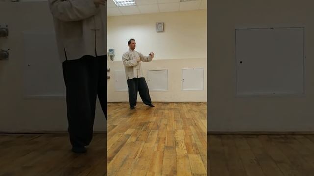 Форма, чисао, в движении. У шин мэн цюань. Свиридов Пётр.