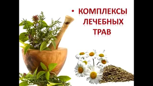Презентация компании NSP смотреть онлайн