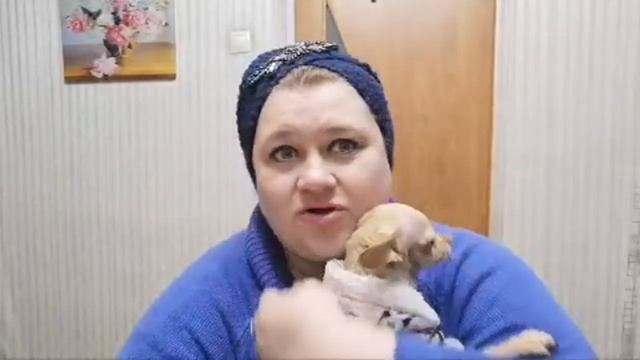 Привет Друзья смотреть онлайн