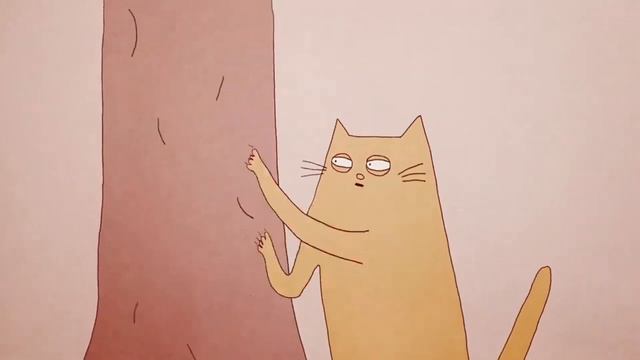 ПОЧЕМУ КОШКИ ВЕДУТ СЕБЯ ТАК СТРАННО??? смотреть онлайн