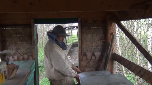 В Гостях на Пасеке у Ветврача Шушеначева А Г смотреть онлайн