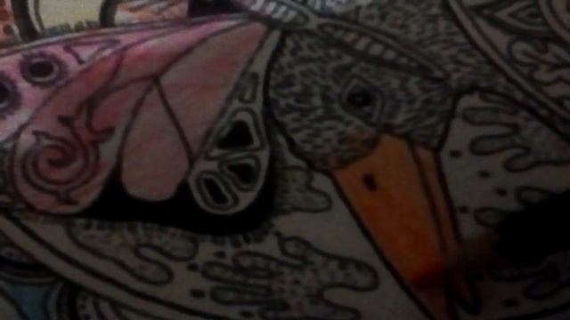 Новинка раскраска анти-стресс(реально действует) смотреть онлайн