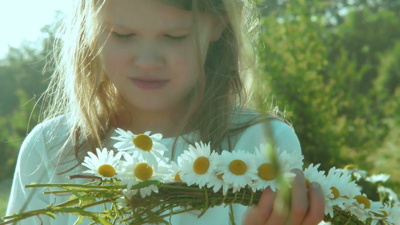 Ромашка Белая (трейлер) смотреть онлайн