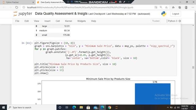 Data Quality Assessment & Insigts using Python смотреть онлайн