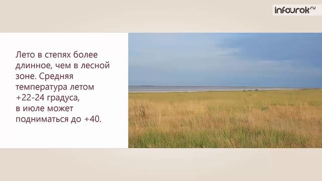 Степи и их растительный мир | Окружающий мир 3 класс #18 | Инфоурок смотреть онлайн