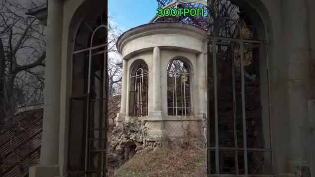 Одесса. Оранжерея Маразли. Чкаловский. Дачи у моря. Руины. Красивый город. Архитектура.#зоотроп смотреть онлайн