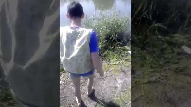 Колокольчик потеряли смотреть онлайн