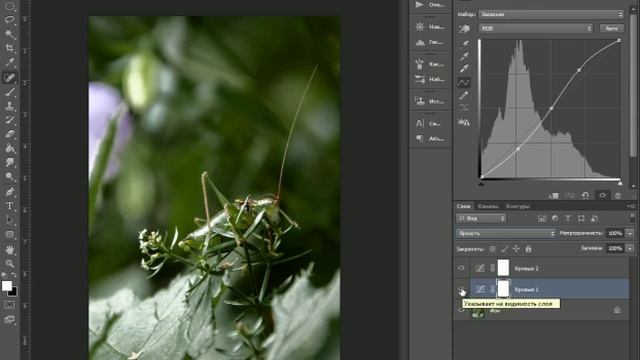 4 урок Делаем контраст и микроконтраст кривой в Photoshop (учим инструменты Photoshop с нуля) смотреть онлайн