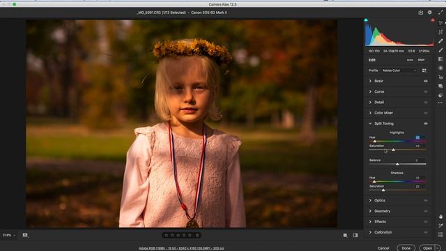 Split Toning Panel in Camera Raw смотреть онлайн