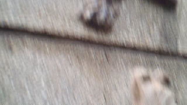 DSCF0004.AVIЖелезноводск Пятигорск 2022