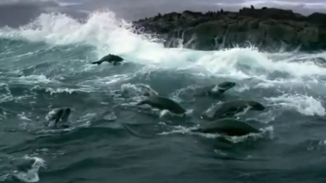 Этот день в истории: 8 июня — Всемирный день океанов смотреть онлайн