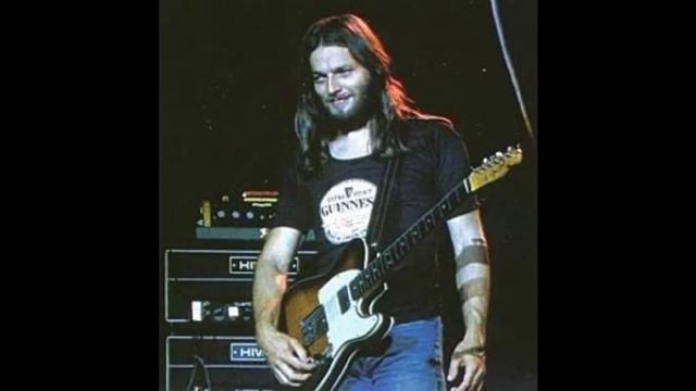 Best of David Gilmour live guitar solos - Part 1