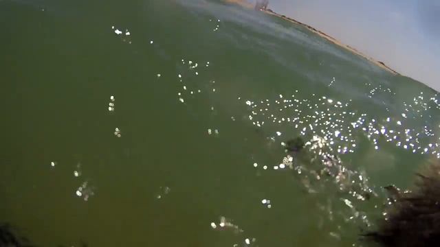 Витязевская коса, песчаный пляж. С собакой на море.