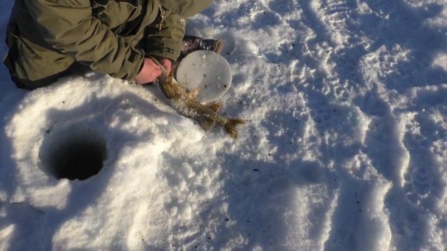 Алымка Декабрь 2022 года. Рыбалка на реке Иртыш. Рыболовно-охотничья база Алымка. смотреть онлайн