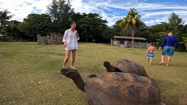 Новогодние каникулы с Тазиком смотреть онлайн