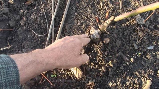ВЕСНА. Апрельский репортаж 28 апреля. смотреть онлайн