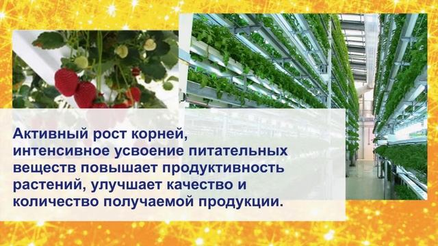 МПО "УДача" - Строительство теплиц на основе технологии аэропоники смотреть онлайн