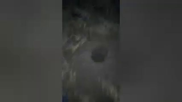 ПМЖ на пасеке продолжаю подготовку к установке забора смотреть онлайн