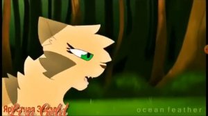 Коты воители клип Песчаная Буря и Огнезвезд - Принцесса