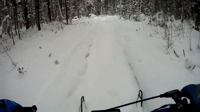 Миниснегоходы / зимний отдых смотреть онлайн