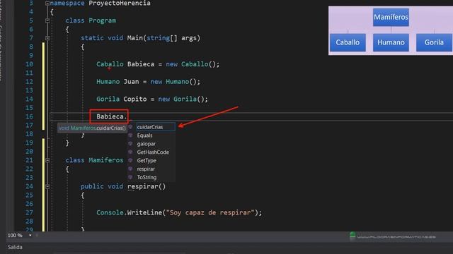 Curso C#. Herencia II. Sintaxis y clase Object. Vídeo 42 смотреть онлайн