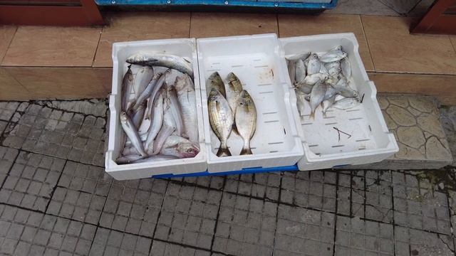 #Влера #Албания #цены Рыбная лавка Влера